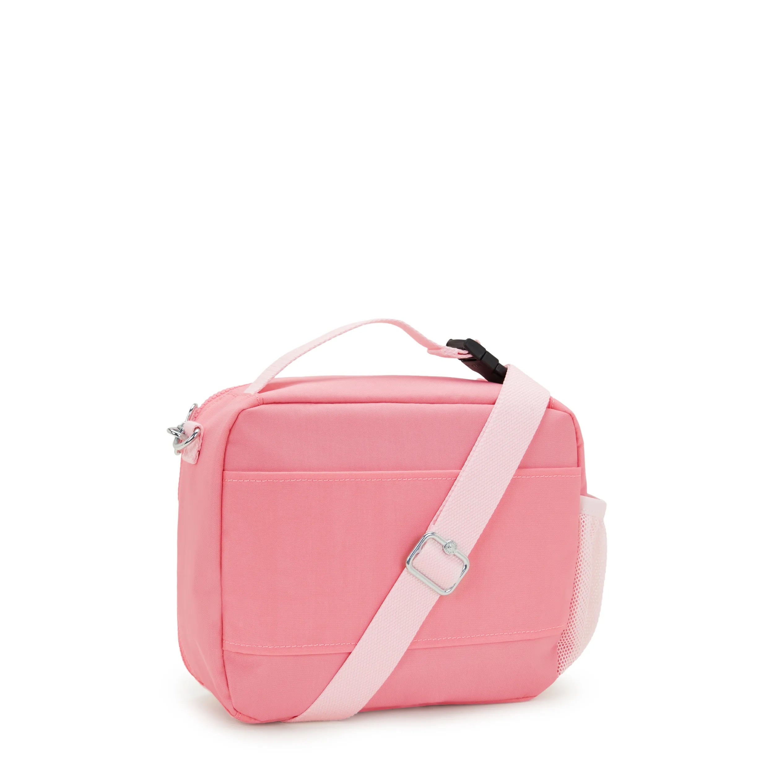 Kipling Ermy in Coral Sea — back view
