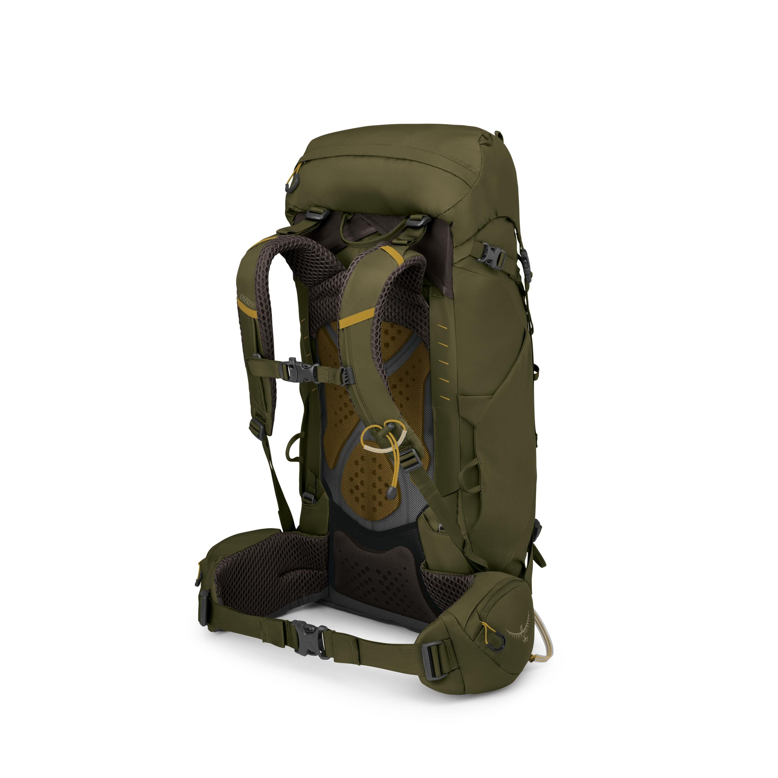 Osprey Kestrel 38 Backpacking Pack 38L in Moss Green — angle view 3