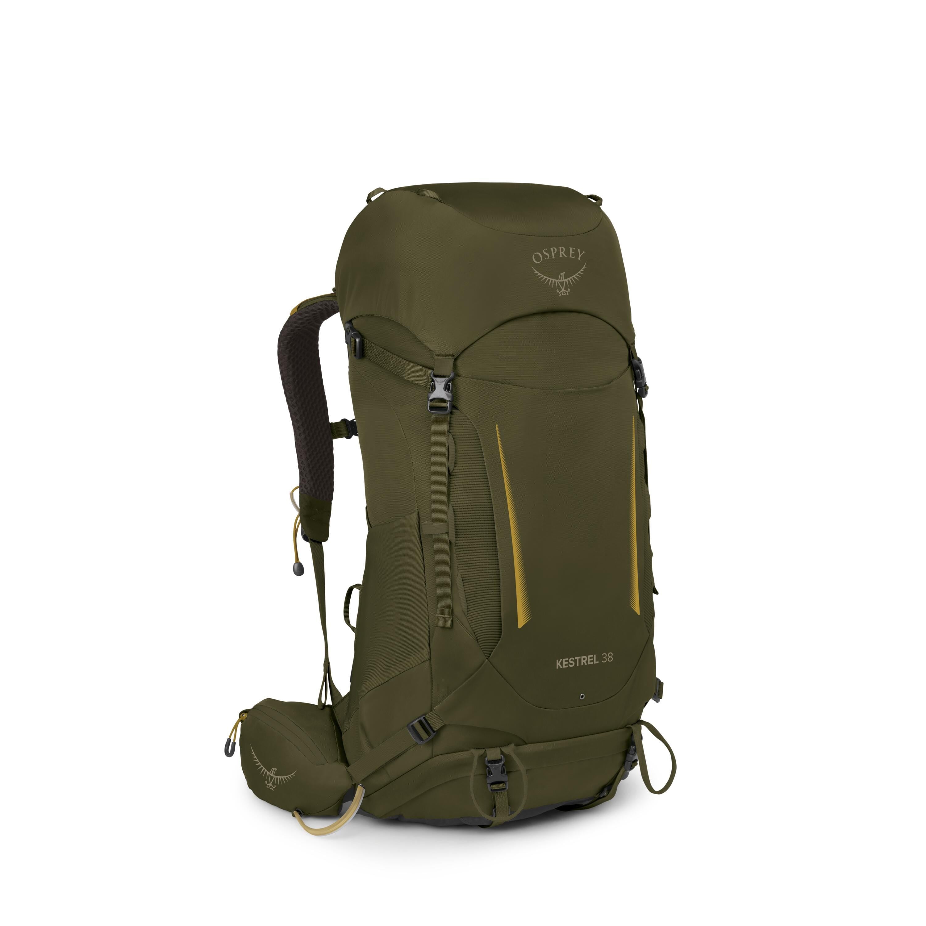 Osprey Kestrel 38 Backpacking Pack 38L in Moss Green — angle view 2