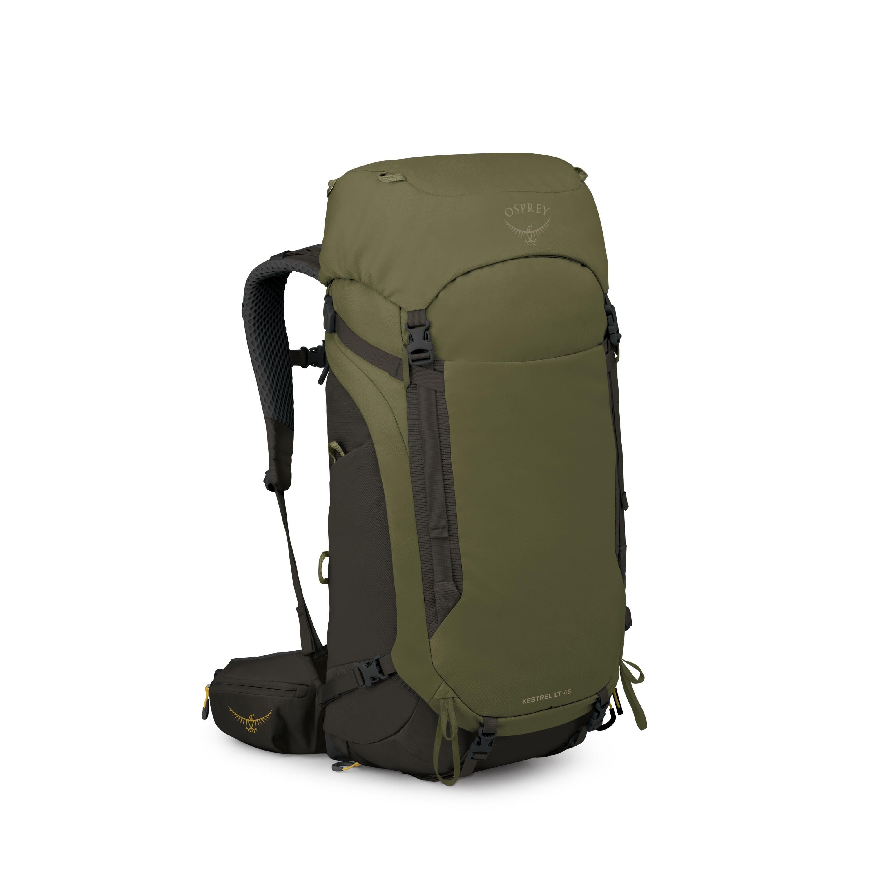Osprey Kestrel LT 45 Backpacking Pack 45L in Moss Green — angle view 2