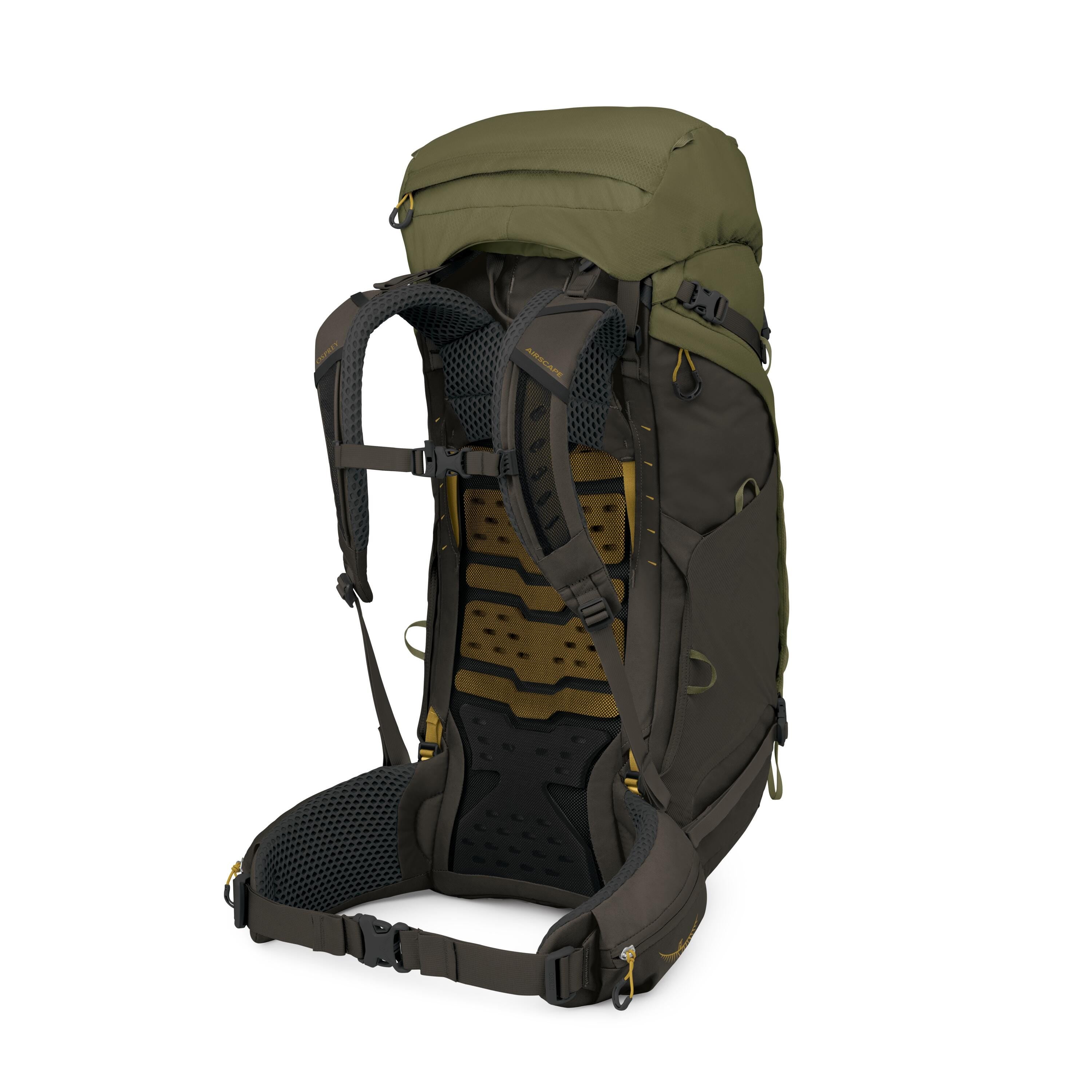 Osprey Kestrel LT 65 Backpacking Pack 65L in Moss Green — angle view 3