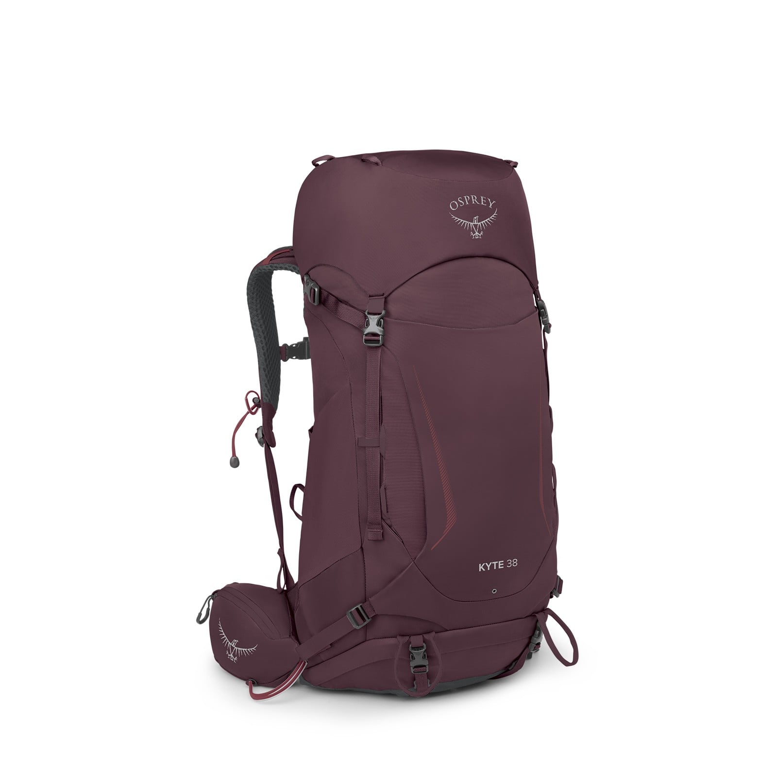 Osprey Kyte 38 Women's Backpacking Pack 38L in Elderberry Purple — angle view 2