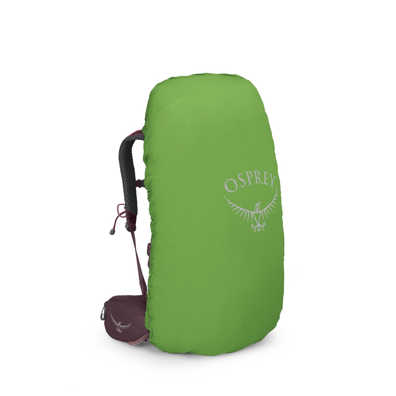 Osprey Kyte 48 Women's Backpacking Pack 48L in Elderberry Purple — angle view 3