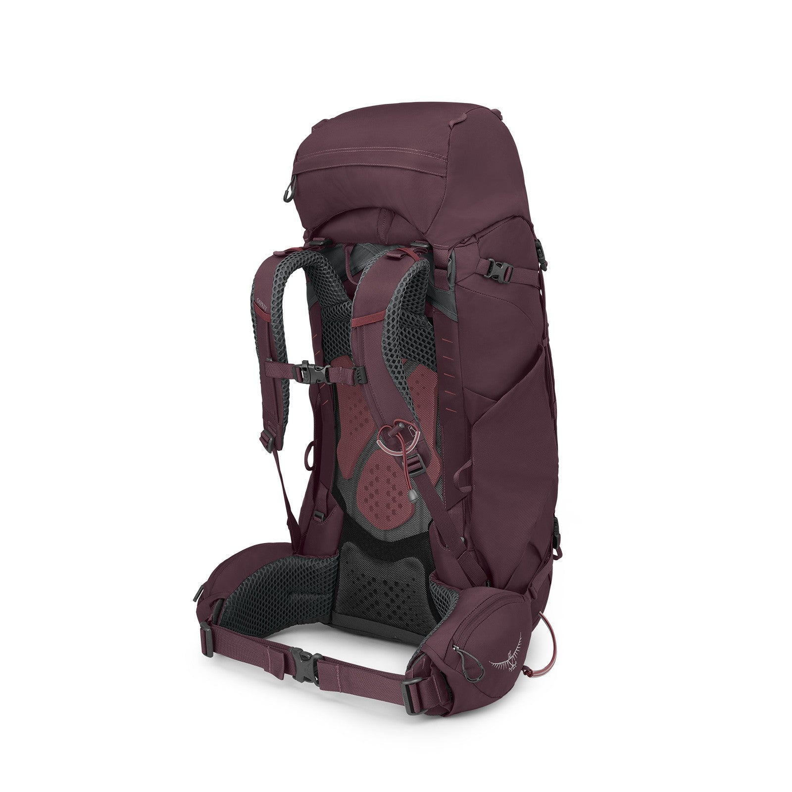 Osprey Kyte 58 Women's Backpacking Pack 58L in Elderberry Purple — angle view 4