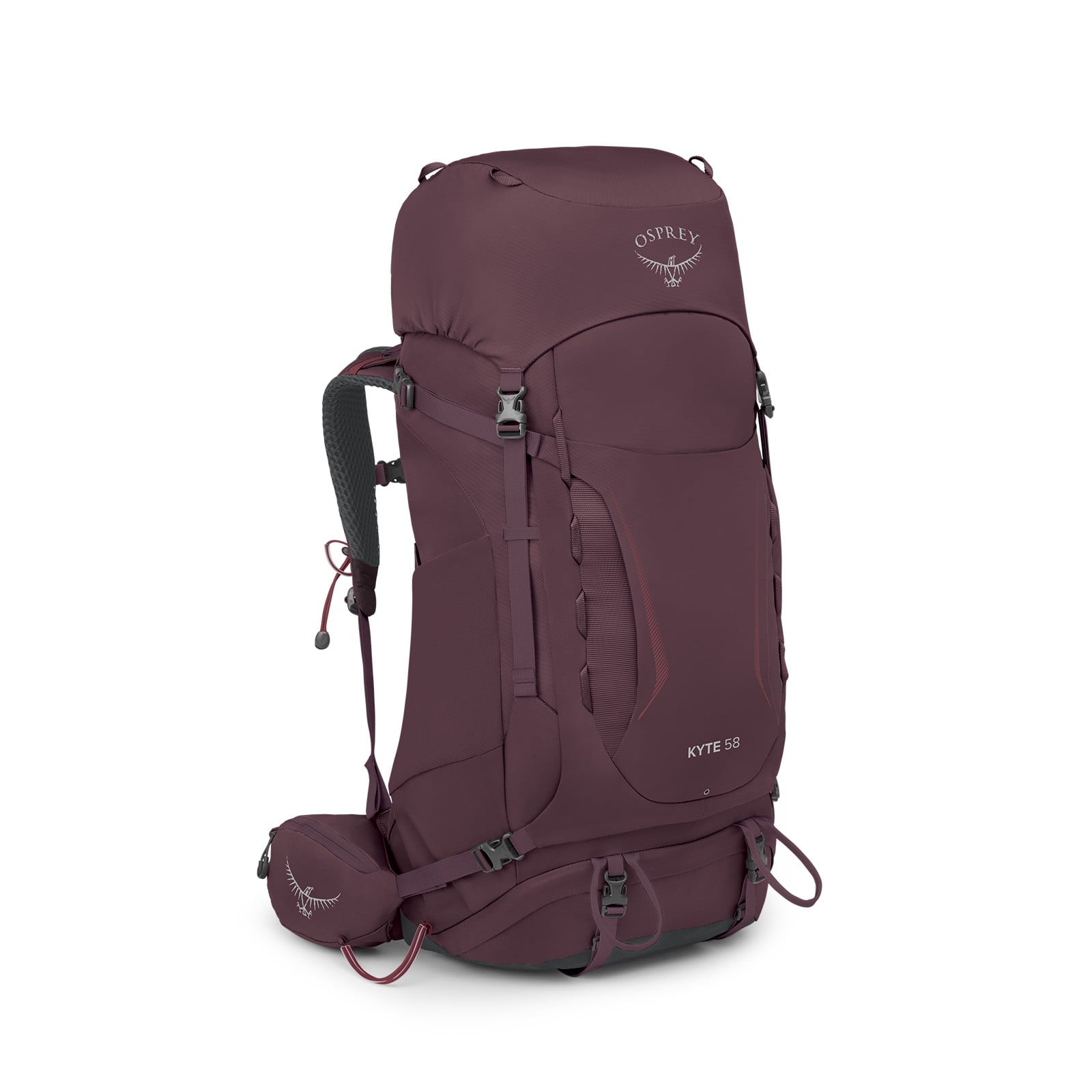 Osprey Kyte 58 Women's Backpacking Pack 58L in Elderberry Purple — angle view 2