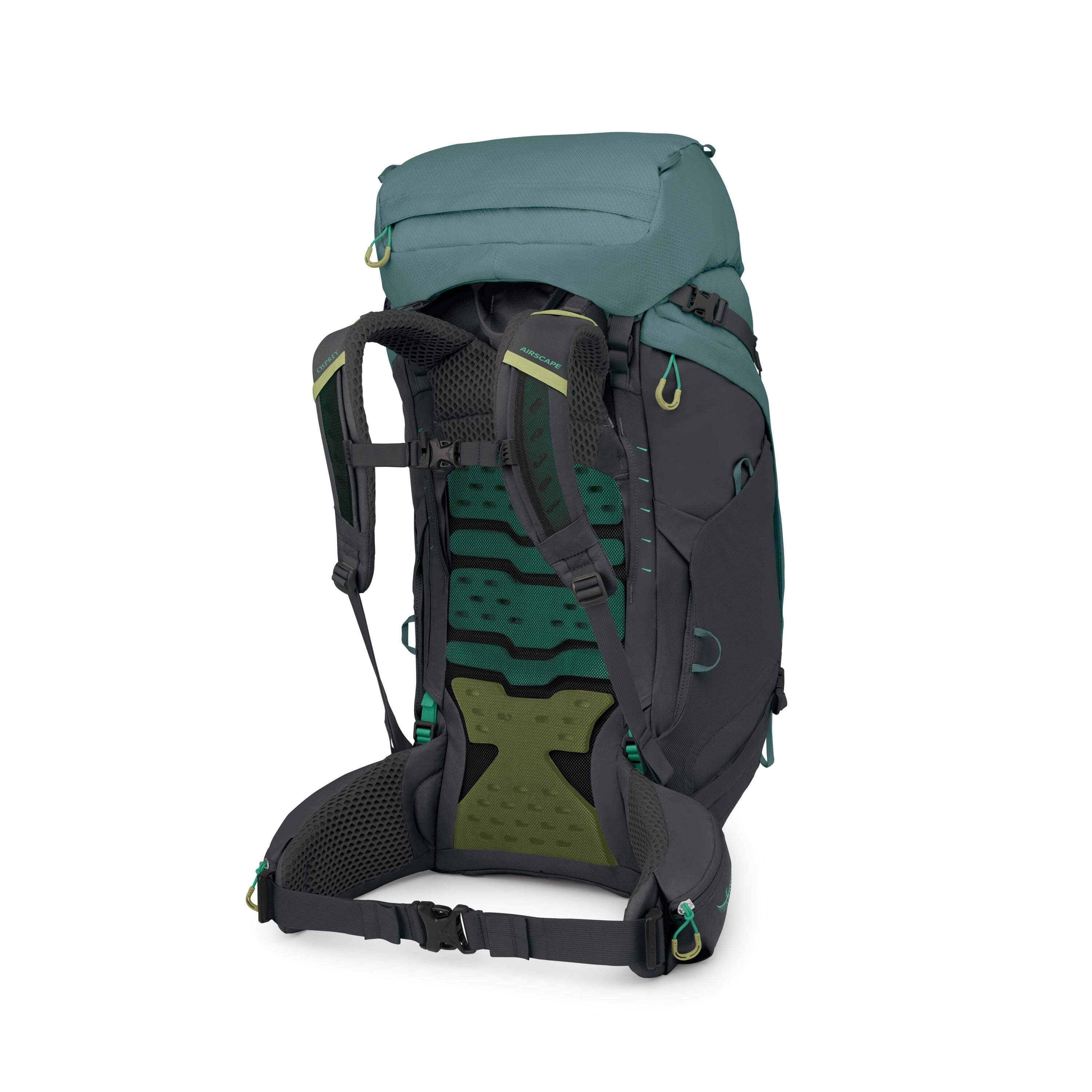 Osprey Kyte LT 65 Women's Backpacking Pack 65L in Cascade Blue — back view