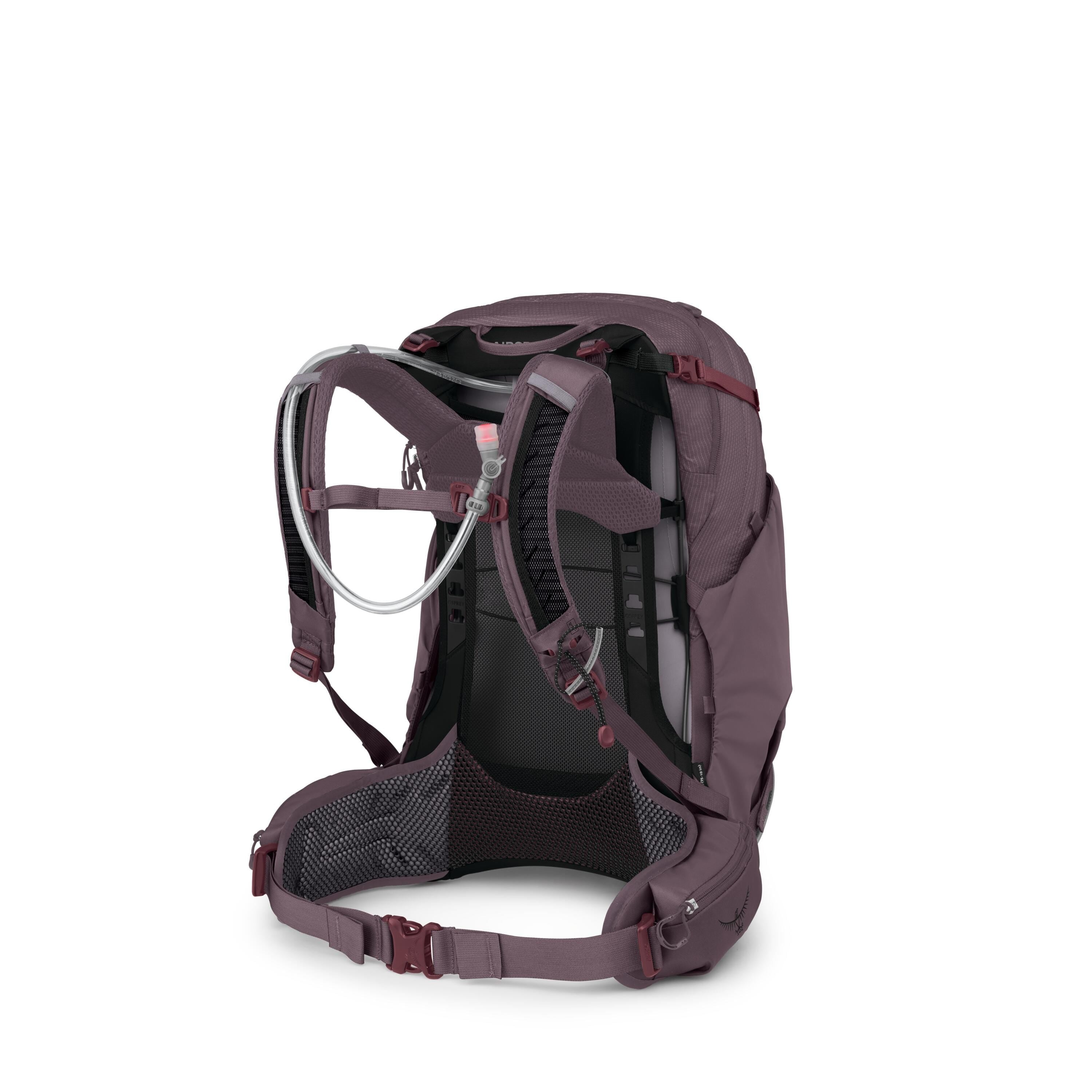 Osprey Mira 24 Women's Hiking Hydration Backpack 24L in Graphite Purple — back view