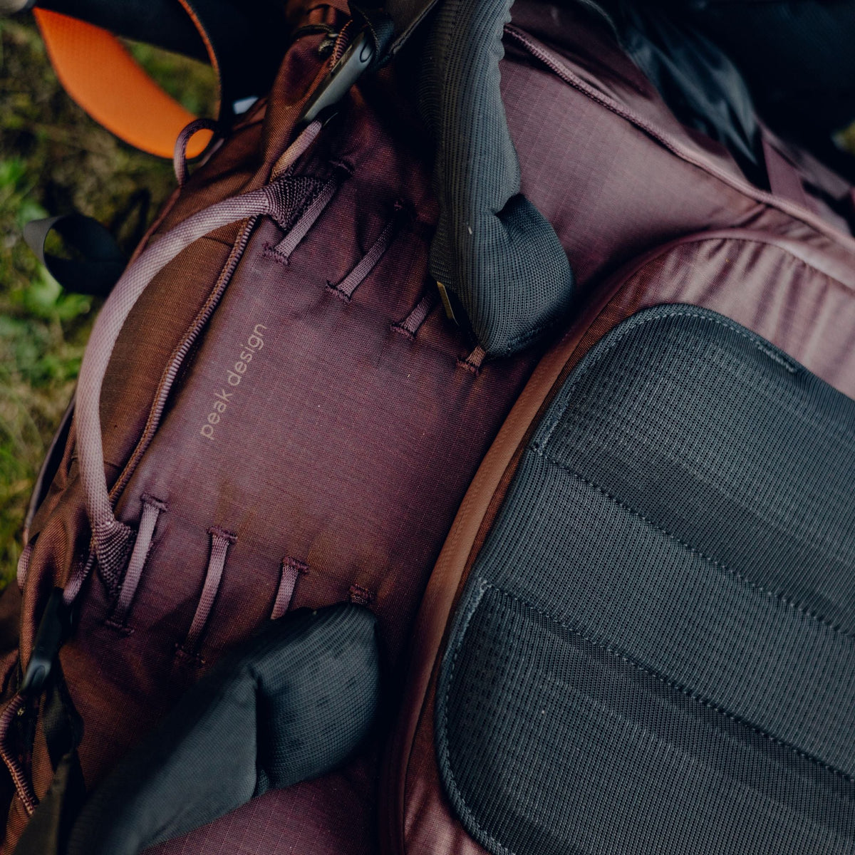 Peak Design Outdoor Backpack 45L in Eclipse — back view # color_Eclipse