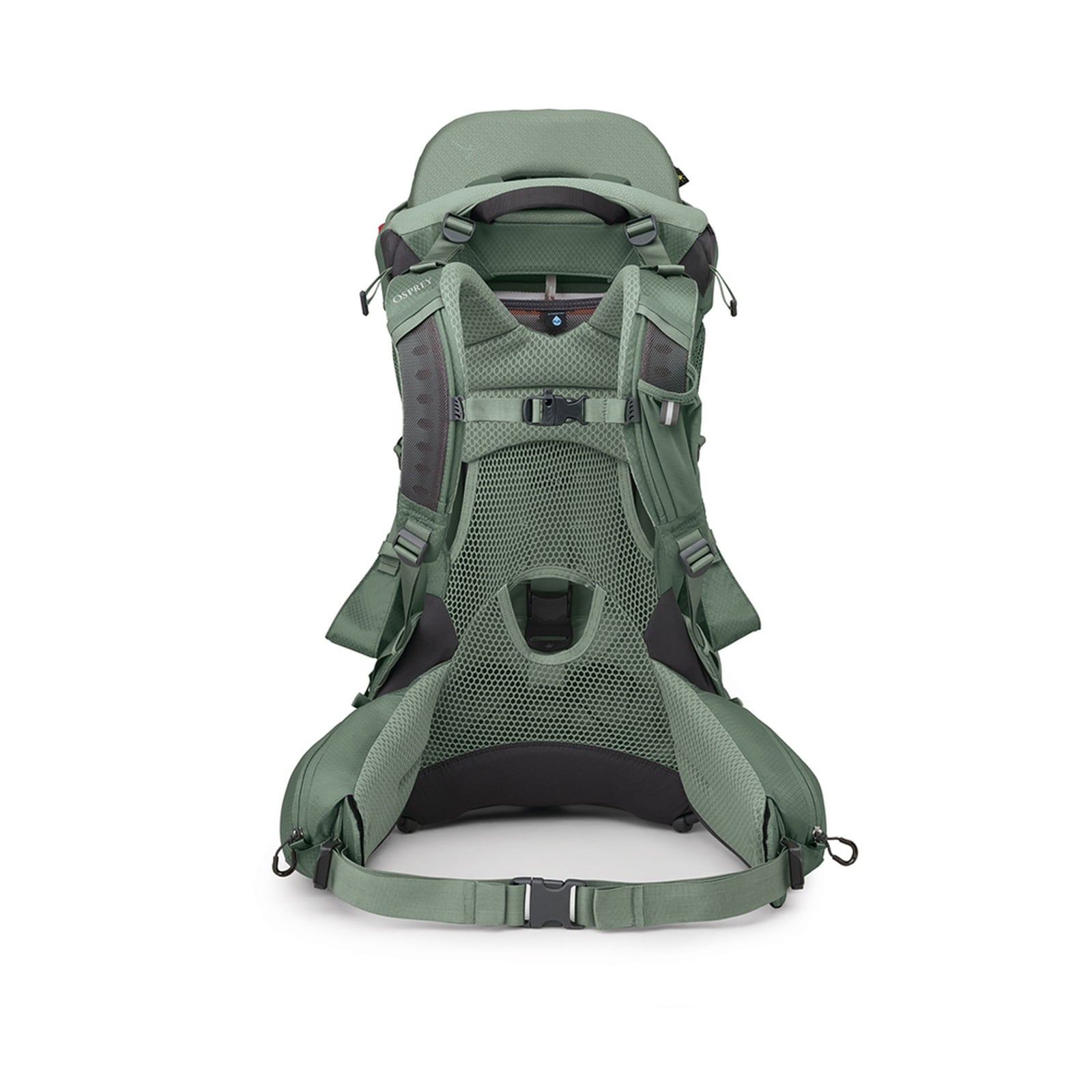 Osprey Poco Premium Child Carrier 36L in Koseret Green — back view