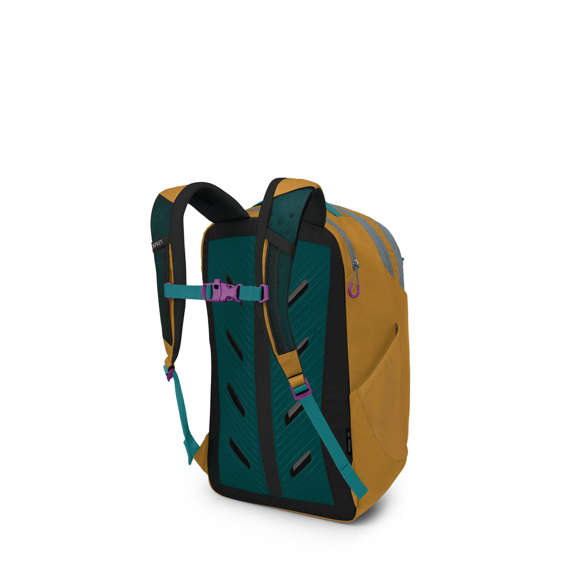 Osprey Proxima Backpack 30L in Barley Brown — back view