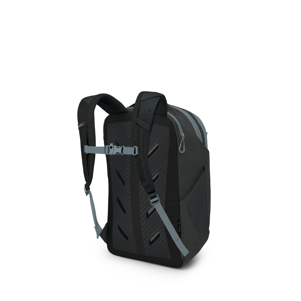 Osprey Proxima Backpack 30L in Black-Shale Grey — back view