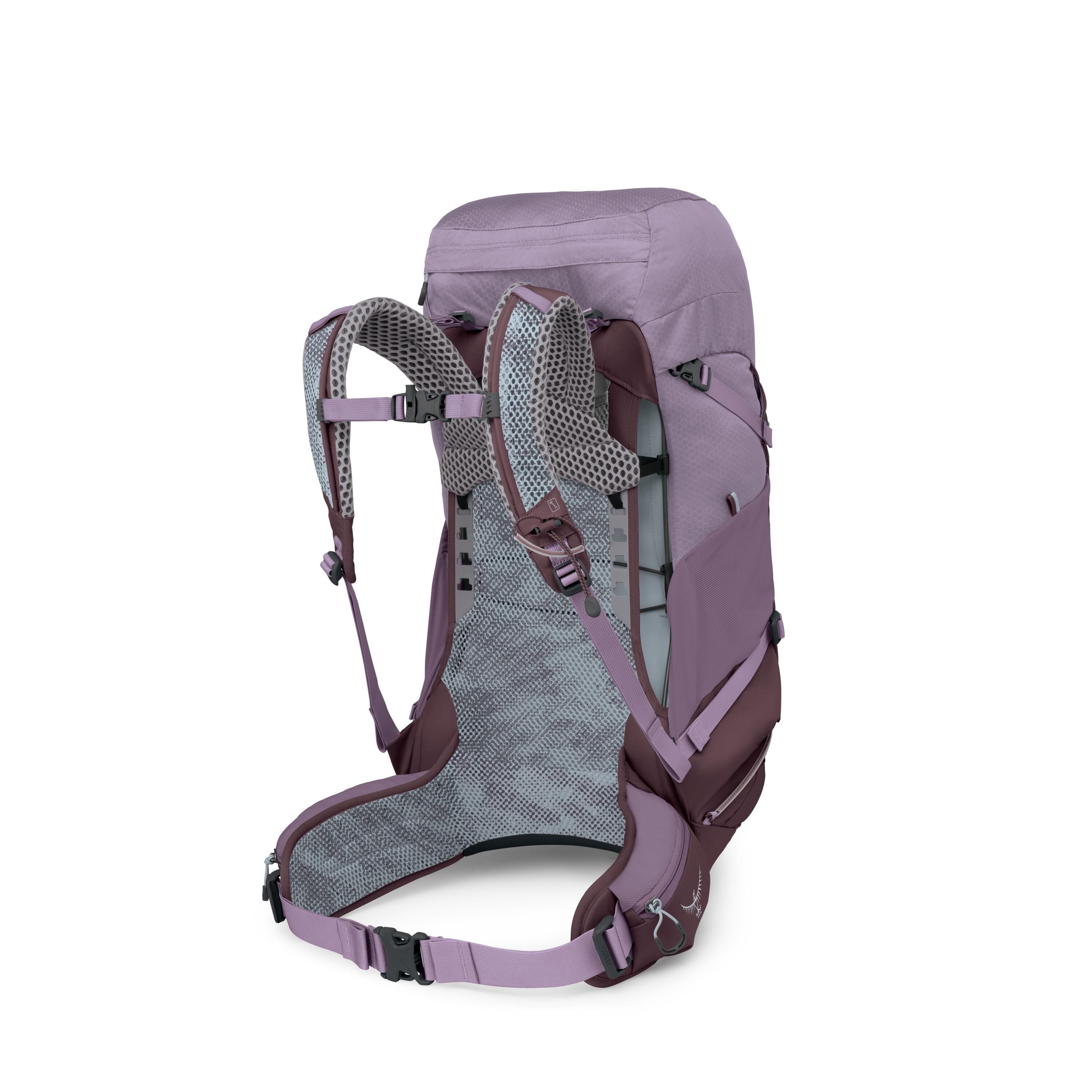 Osprey Sirrus 36 Hiking Backpack 36L in Purple Dusk — back view