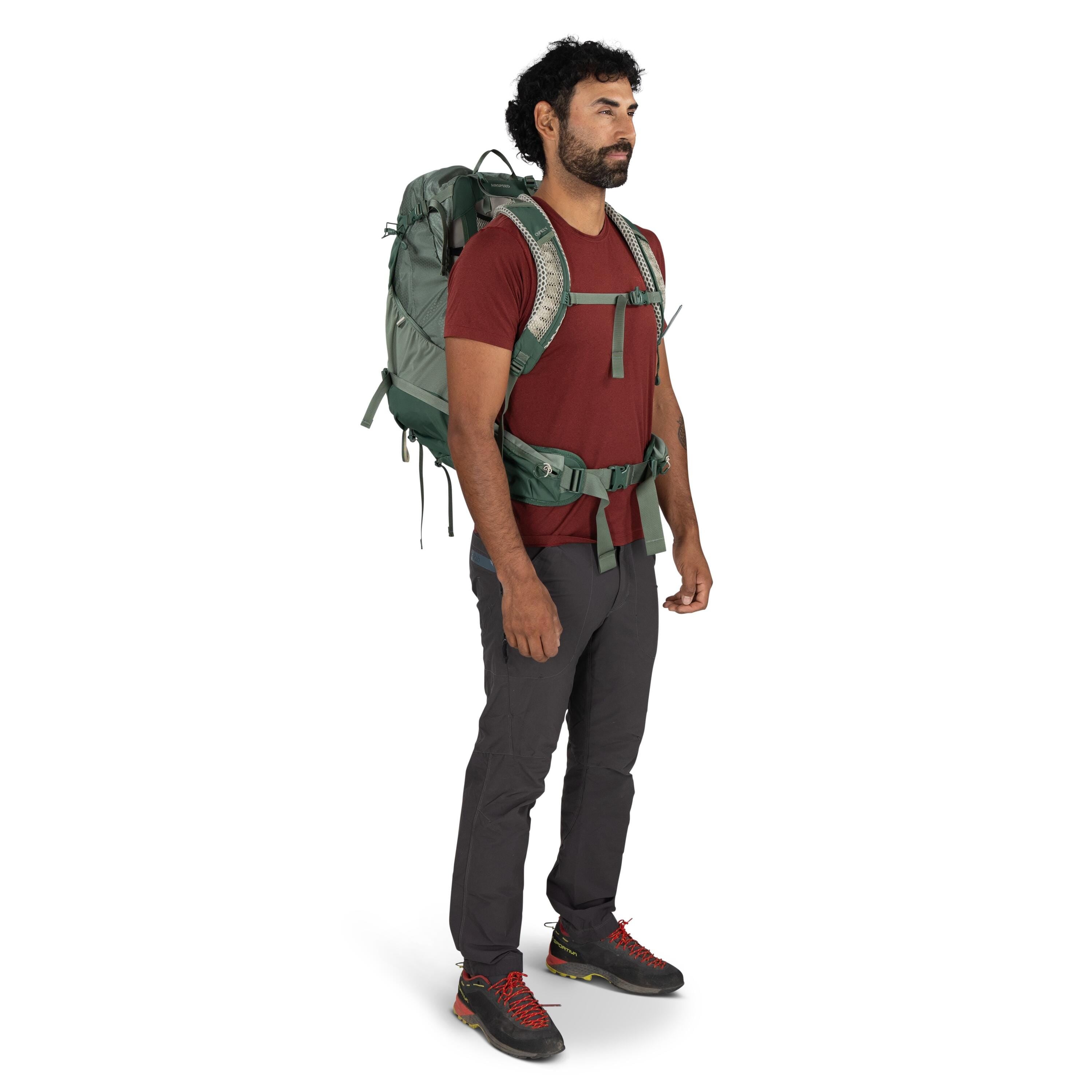 Osprey Stratos 34 Hiking Backpack 34L in Pine Leaf Green — lifestyle