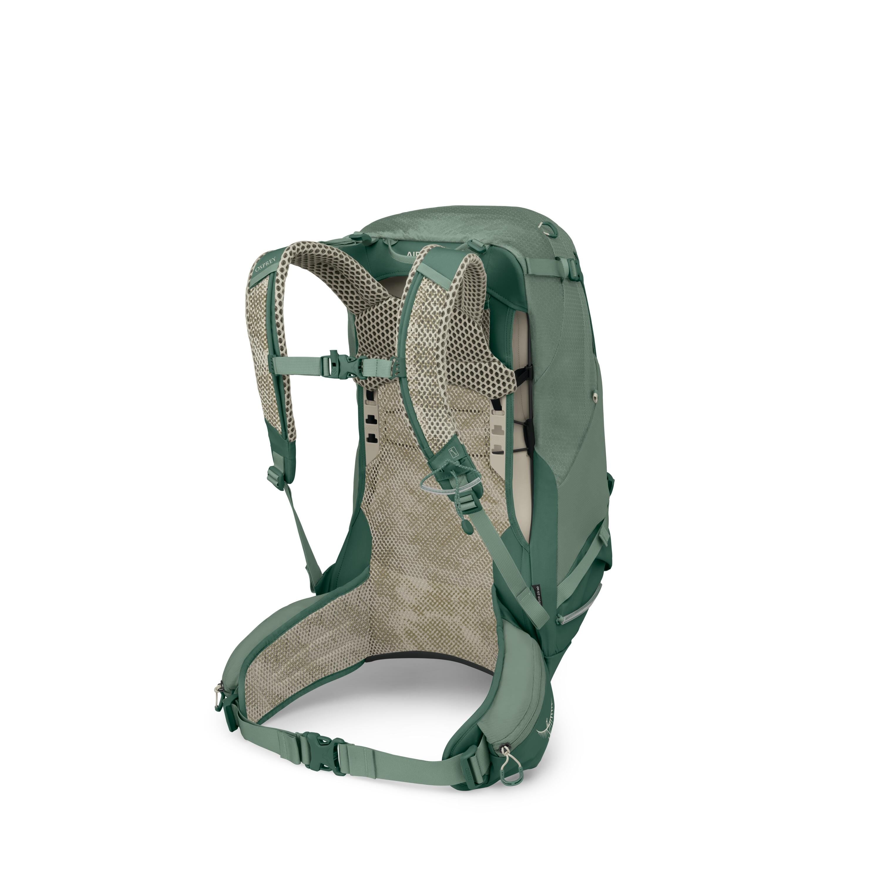 Osprey Stratos 34 Hiking Backpack 34L in Pine Leaf Green — back view