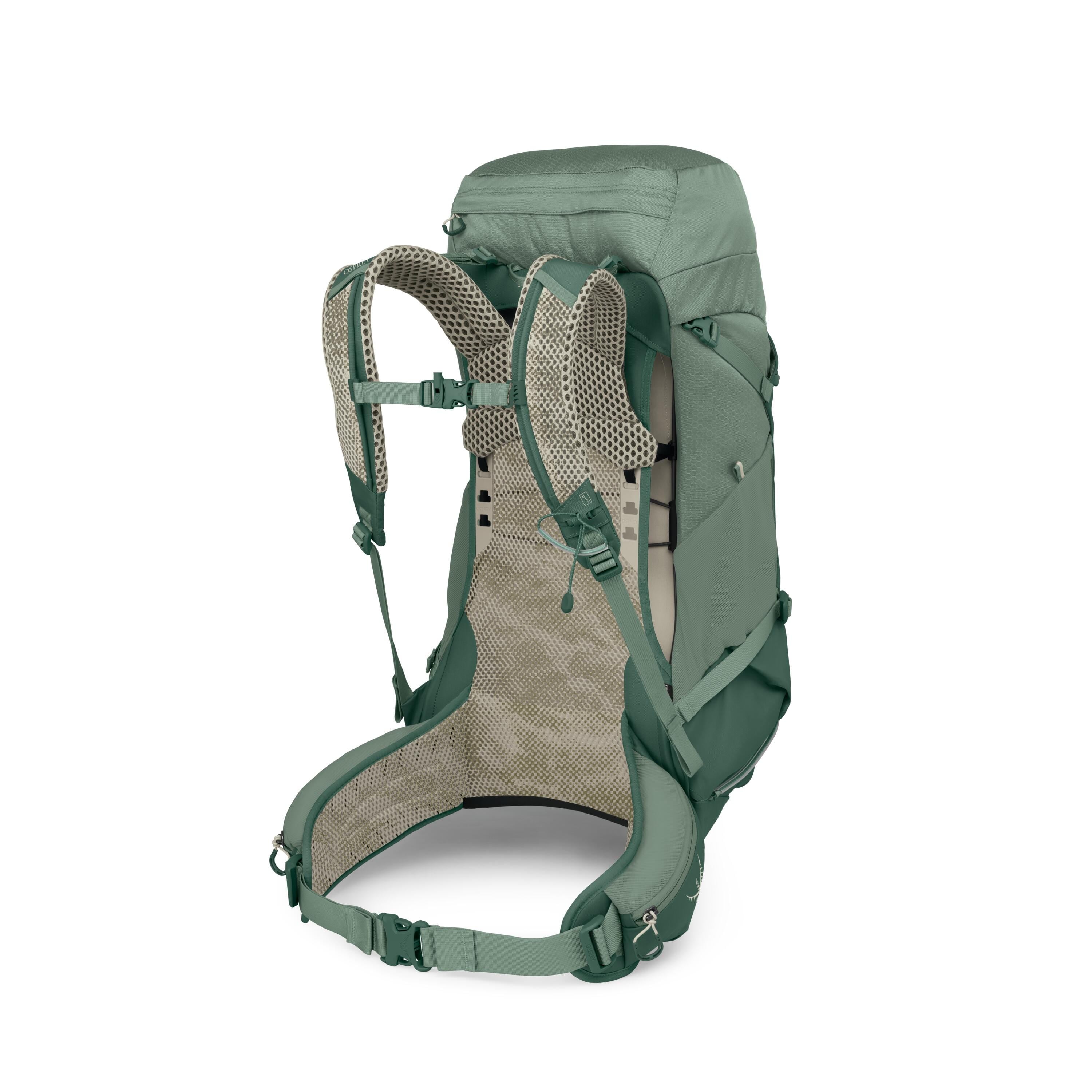 Osprey Stratos 36 Hiking Backpack 36L in Pine Leaf Green — back view