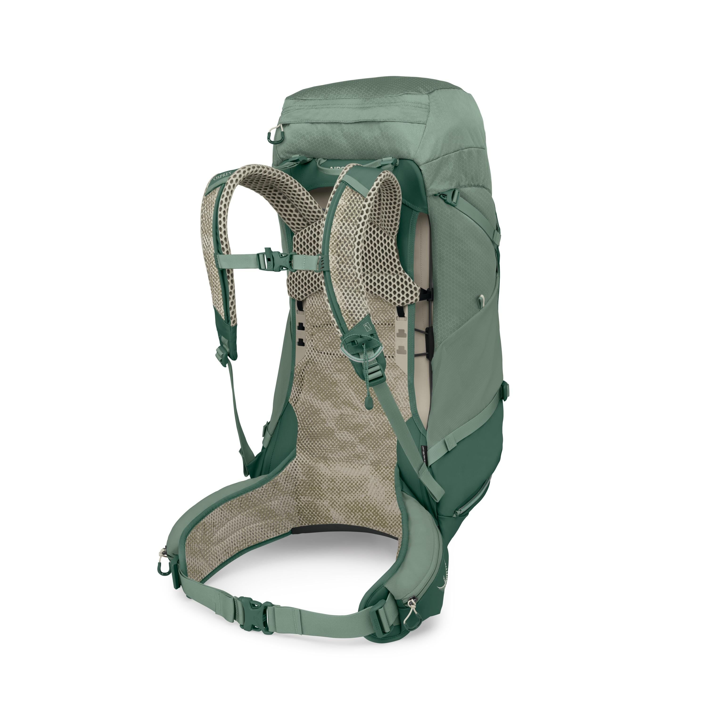 Osprey Stratos 44 Hiking Backpack 44L in Pine Leaf Green — back view