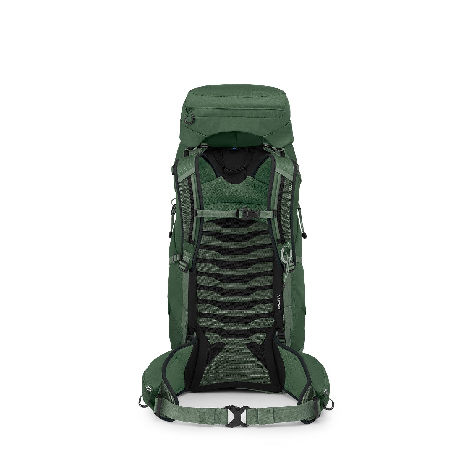 Osprey Talon 44 Hiking Backpack 44L in Green Canopy/Pine Leaf — back view