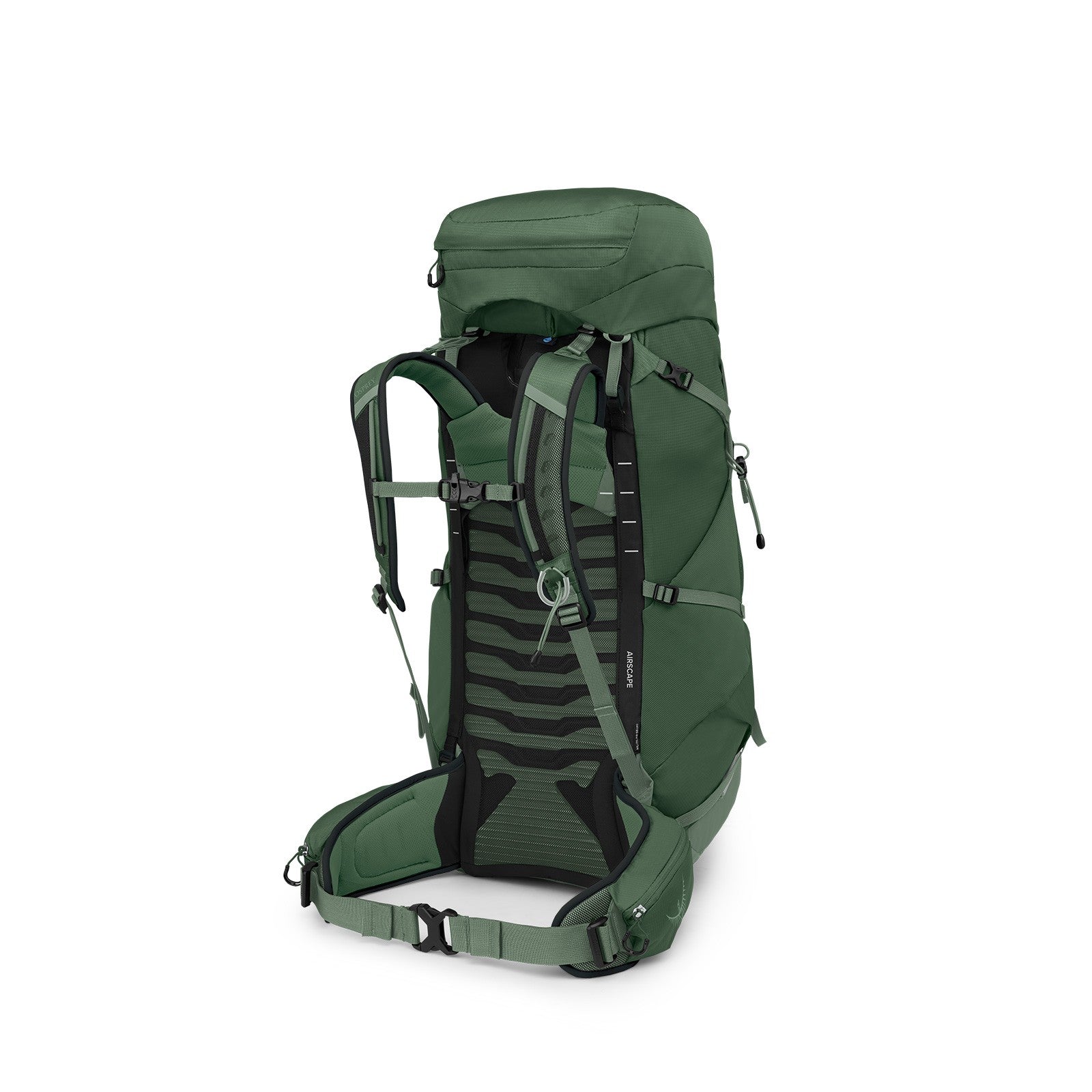 Osprey Talon 44 Hiking Backpack 44L in Green Canopy/Pine Leaf — angle view 3