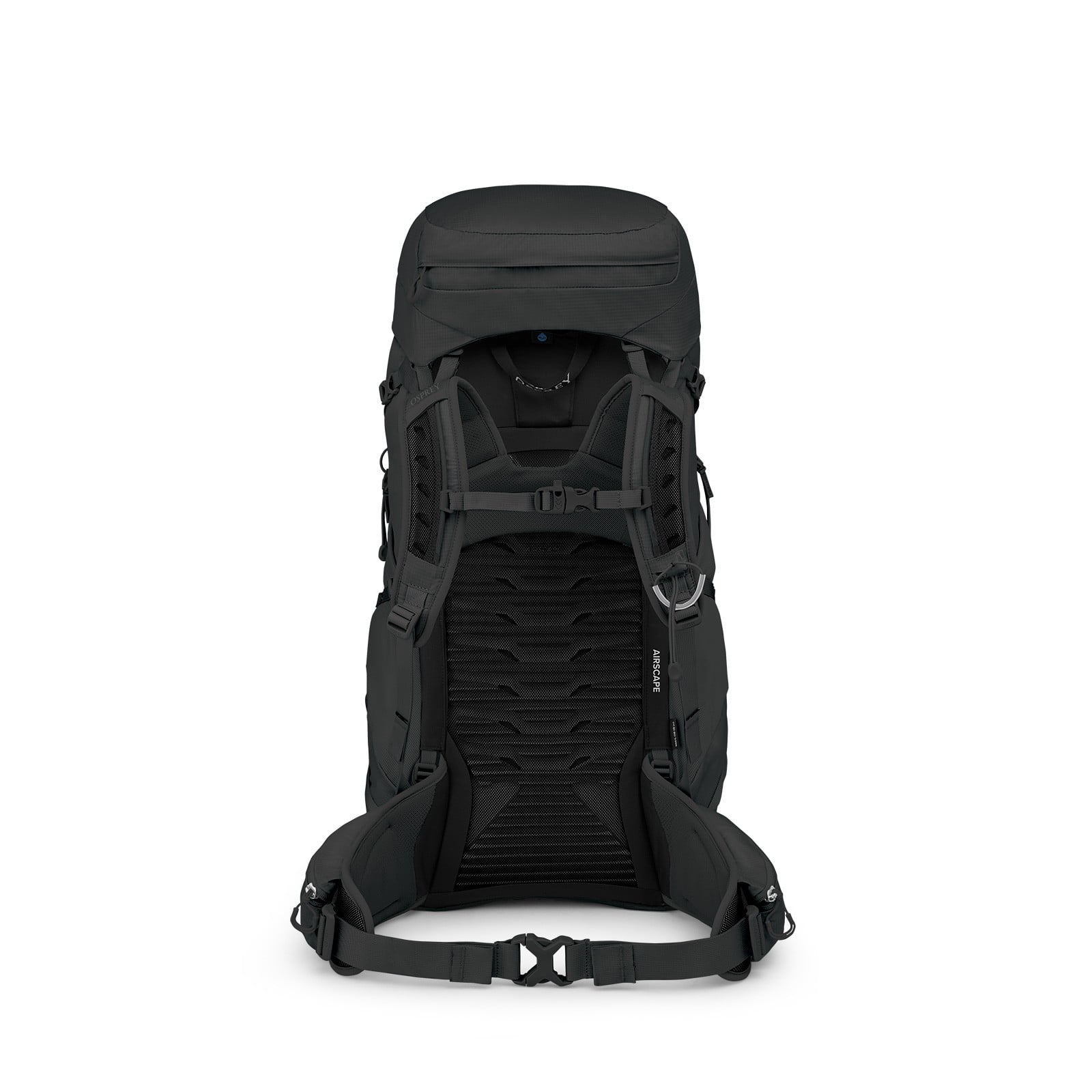 Osprey Tempest 44 Women's Hiking Backpack 44L in Black/Coal Grey — back view