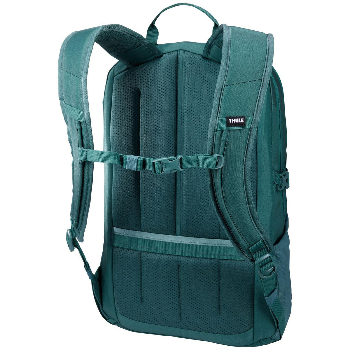 Thule EnRoute Backpack 23L in Mallard Green — back view 2