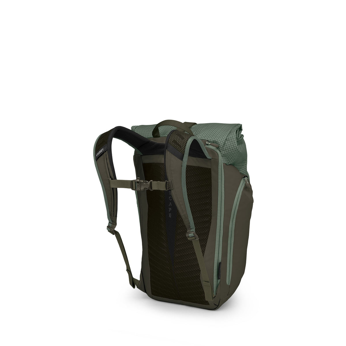 Osprey Transporter Roll Top Pack 25L in Pine Leaf/Earl Grey — back view
