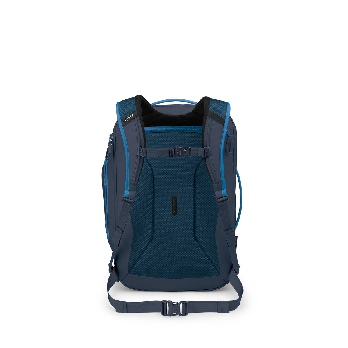Osprey Transporter Travel Pack 44L in Blue Flame / Nocturnal Blue — back view 2