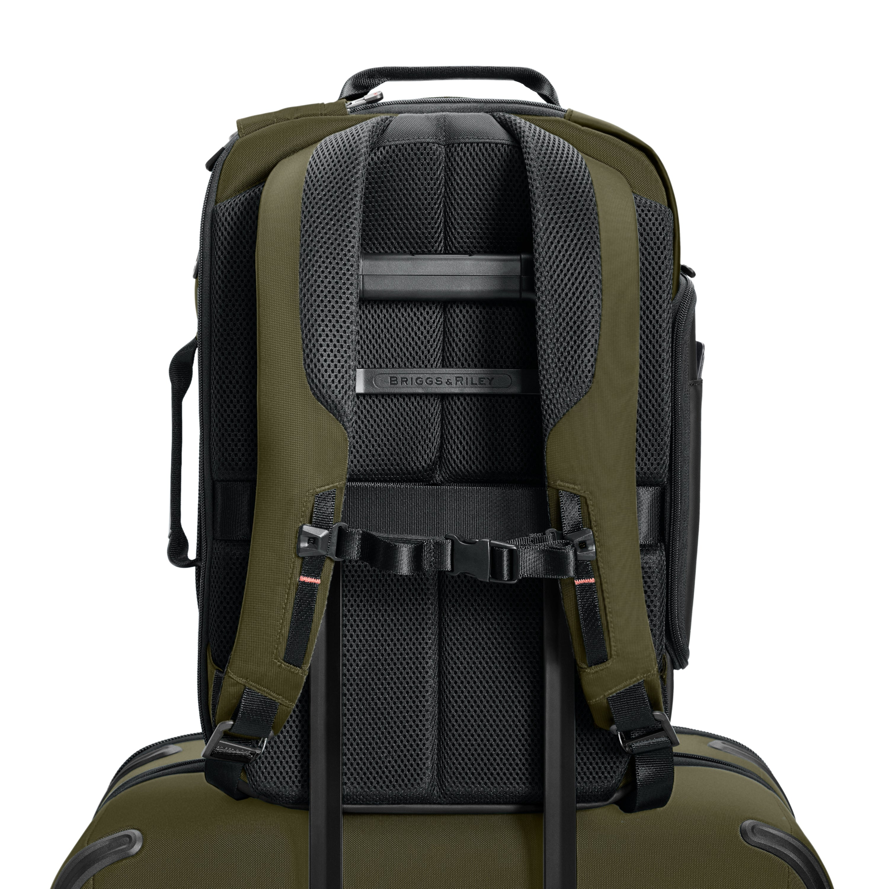 Briggs & Riley ZDX Medium Convertible Backpack Duffle in Hunter — back view 2 # color_Hunter