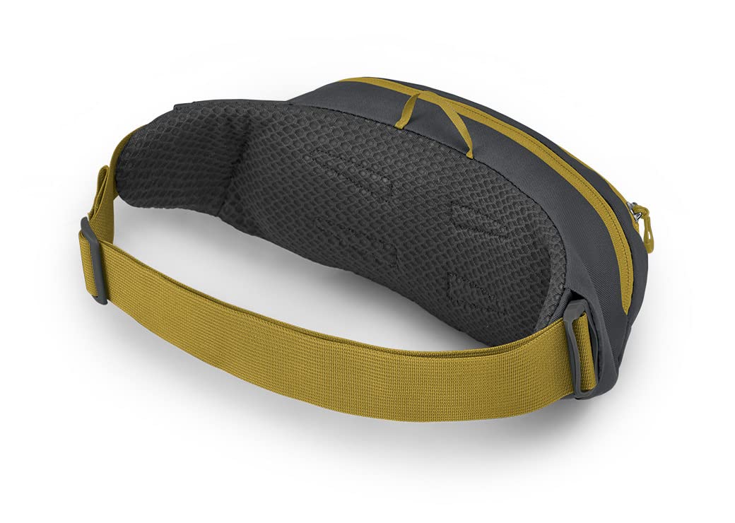 Osprey Daylite Waist Pack 2L in Deep Peyto Green — back view