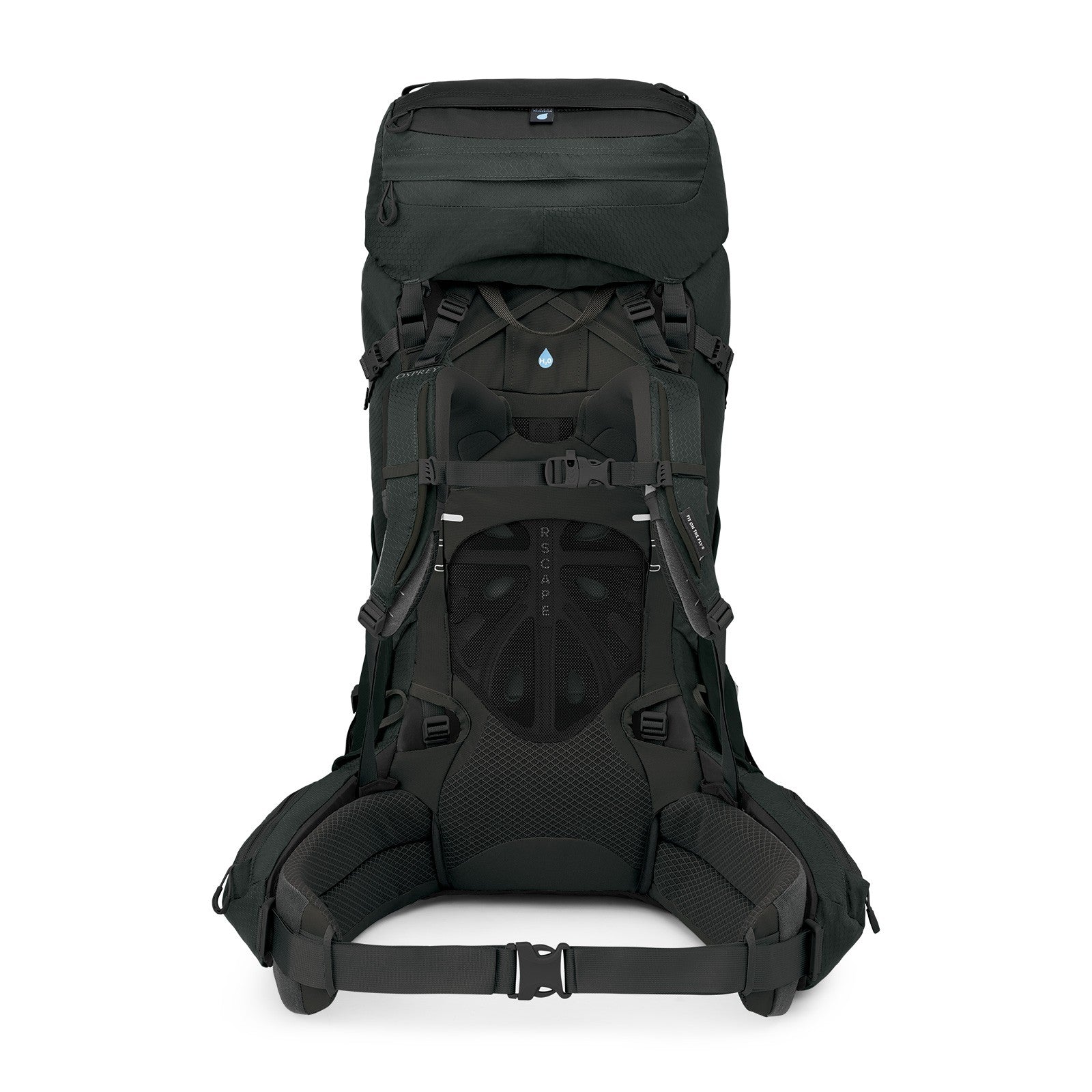 Osprey Aether 65 Extended Fit Hiking Backpack 65L in Black — back view