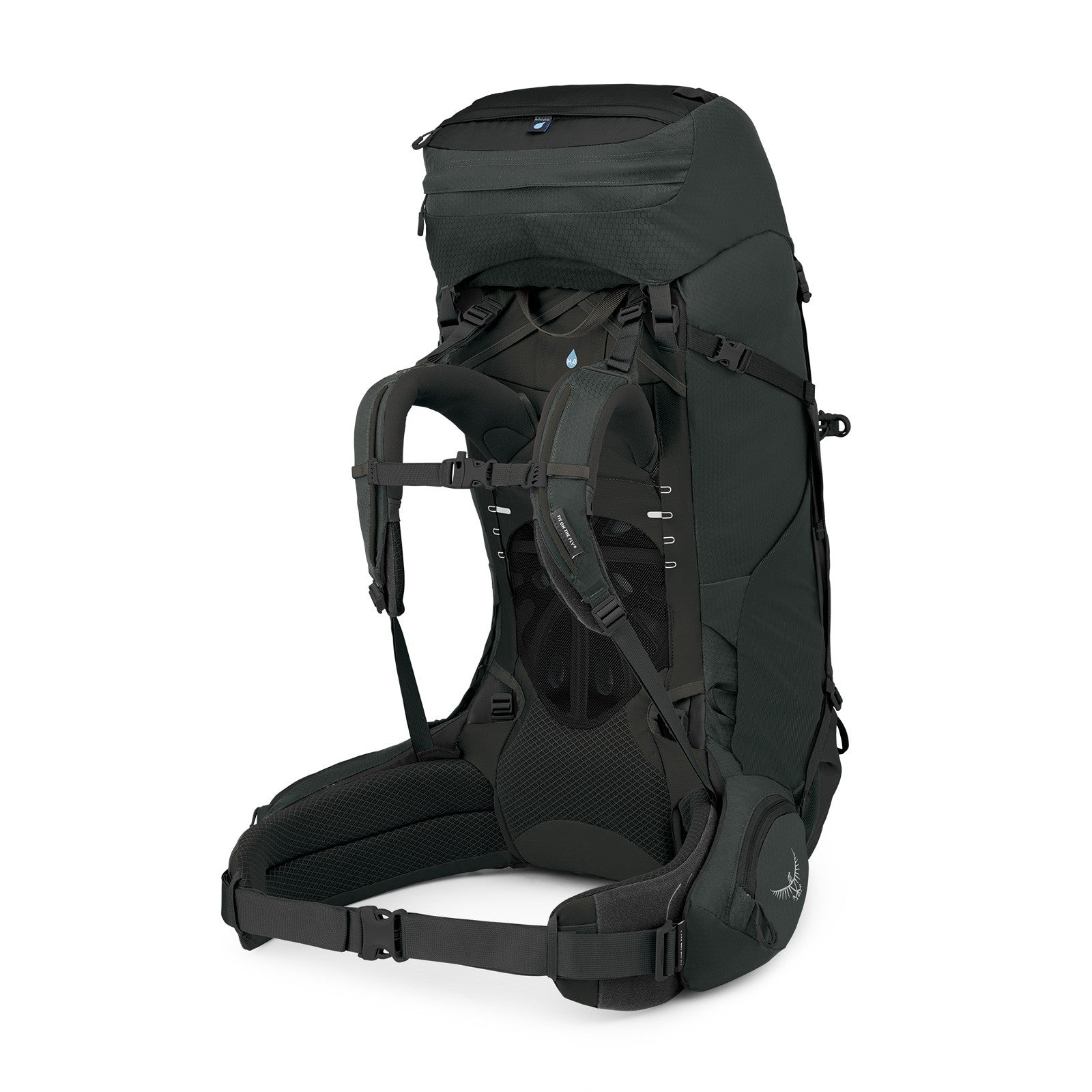 Osprey Aether 65 Extended Fit Hiking Backpack 65L in Black — angle view 3