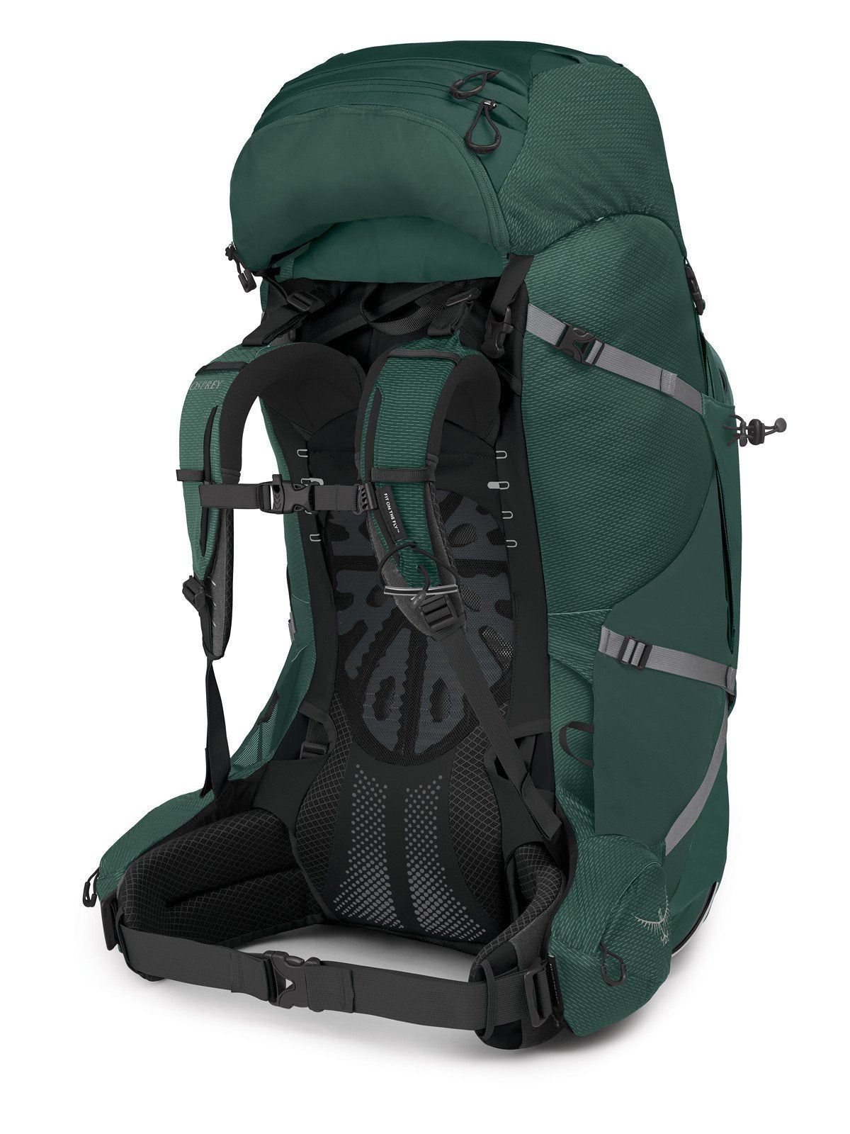 Osprey Aether Plus 100 Hiking Backpack 100L in Axo Green — angle view 2
