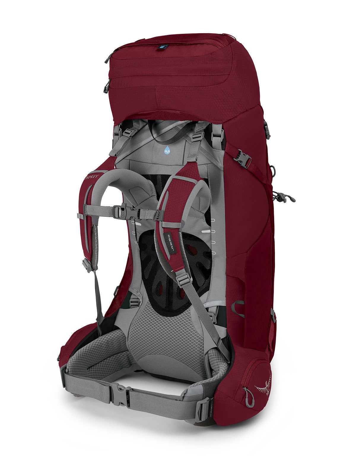 Osprey Ariel 55 Women's Hiking Backpack 55L in Claret Red — back view