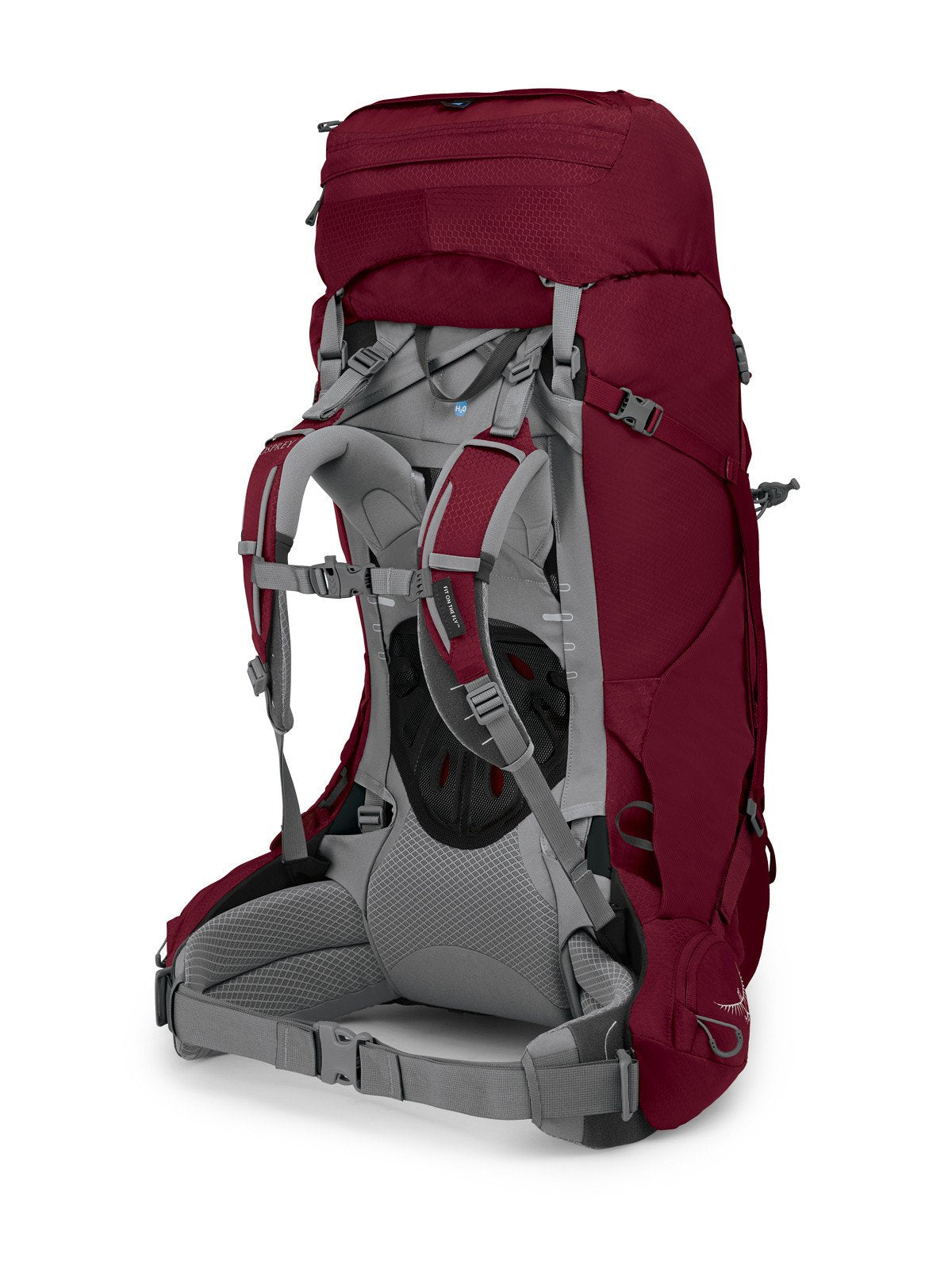 Osprey Ariel 65 Women's Hiking Backpack 65L in Claret Red — back view