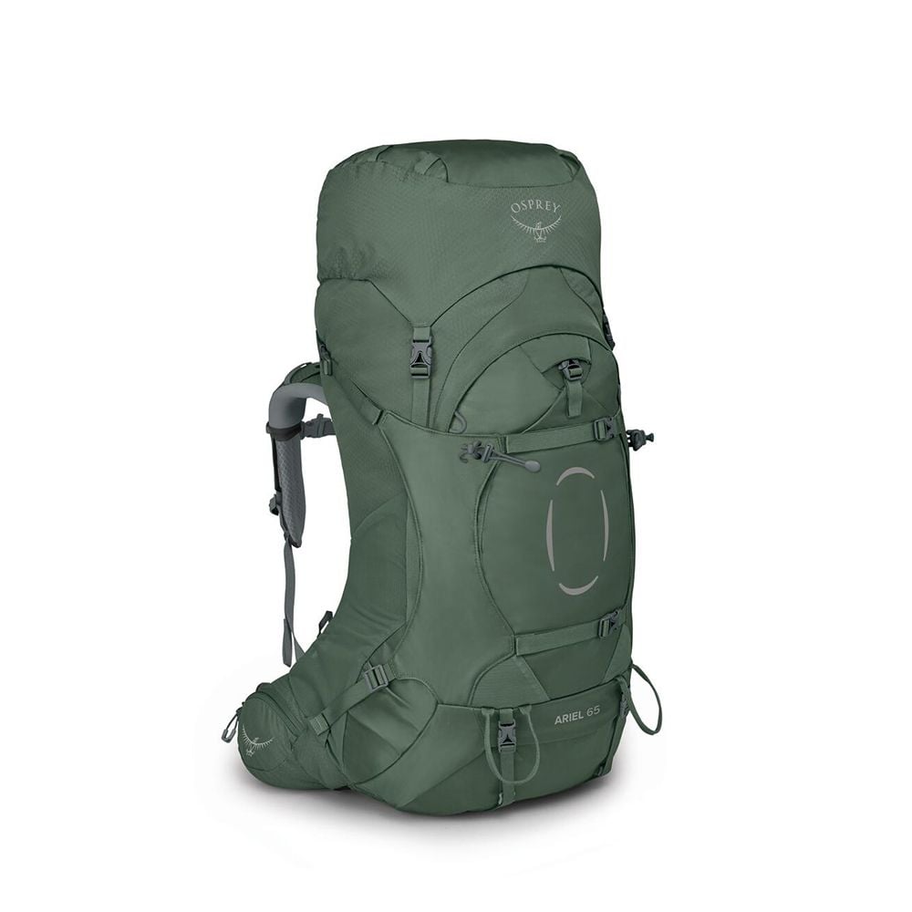 Osprey Ariel 65 Women's Hiking Backpack 65L in Koseret Green — front view