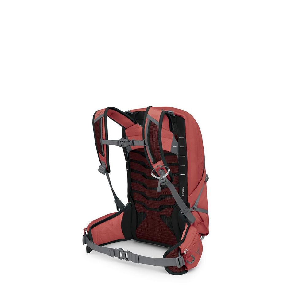 Osprey Tempest 11 Hiking Backpack 11L in Red Pampas/Coal Grey — back view