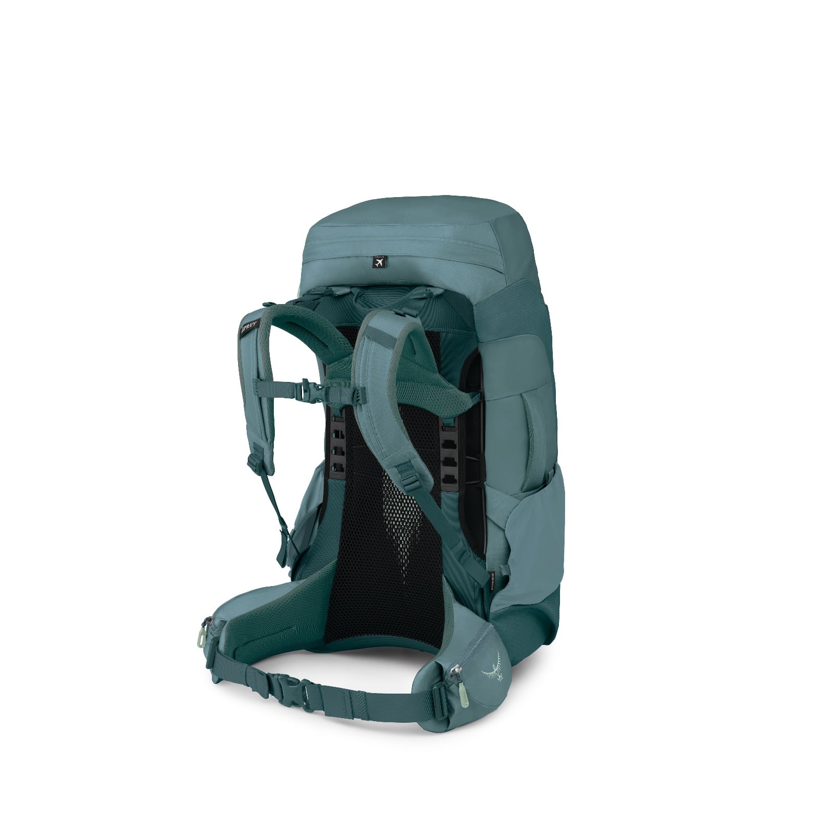 Osprey Fairview Trek 55 Women's Travel Backpack 55L in Cascade Blue-Torrent Blue — back view