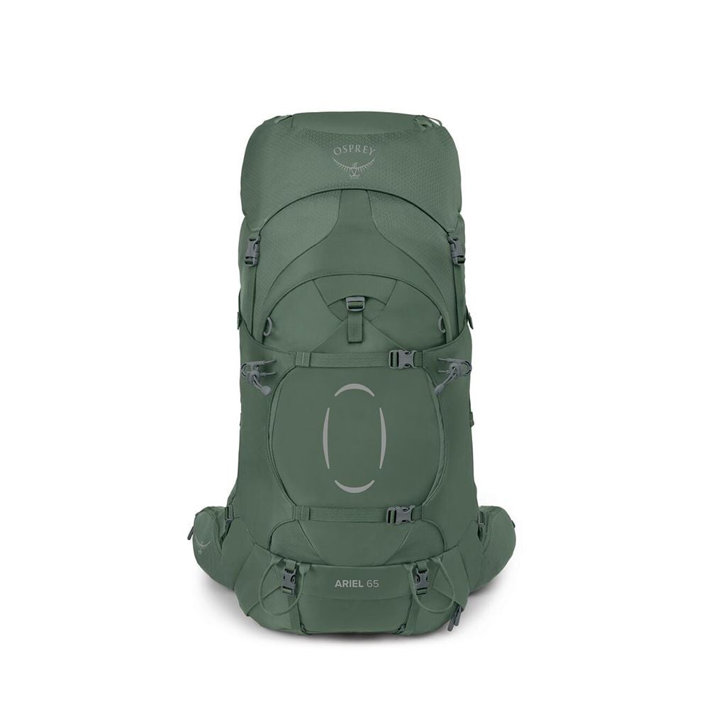 Osprey Ariel 65 Extended Fit Women's Hiking Backpack 65L in Koseret Green — angle view 2