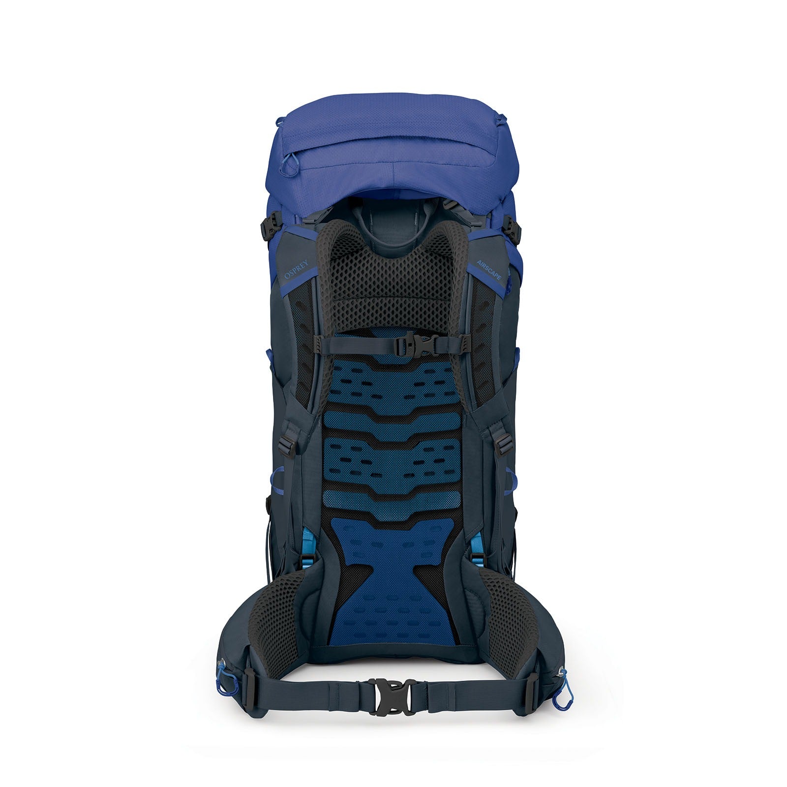 Osprey Kestrel LT 65 Backpacking Pack 65L in Rays Blue — back view