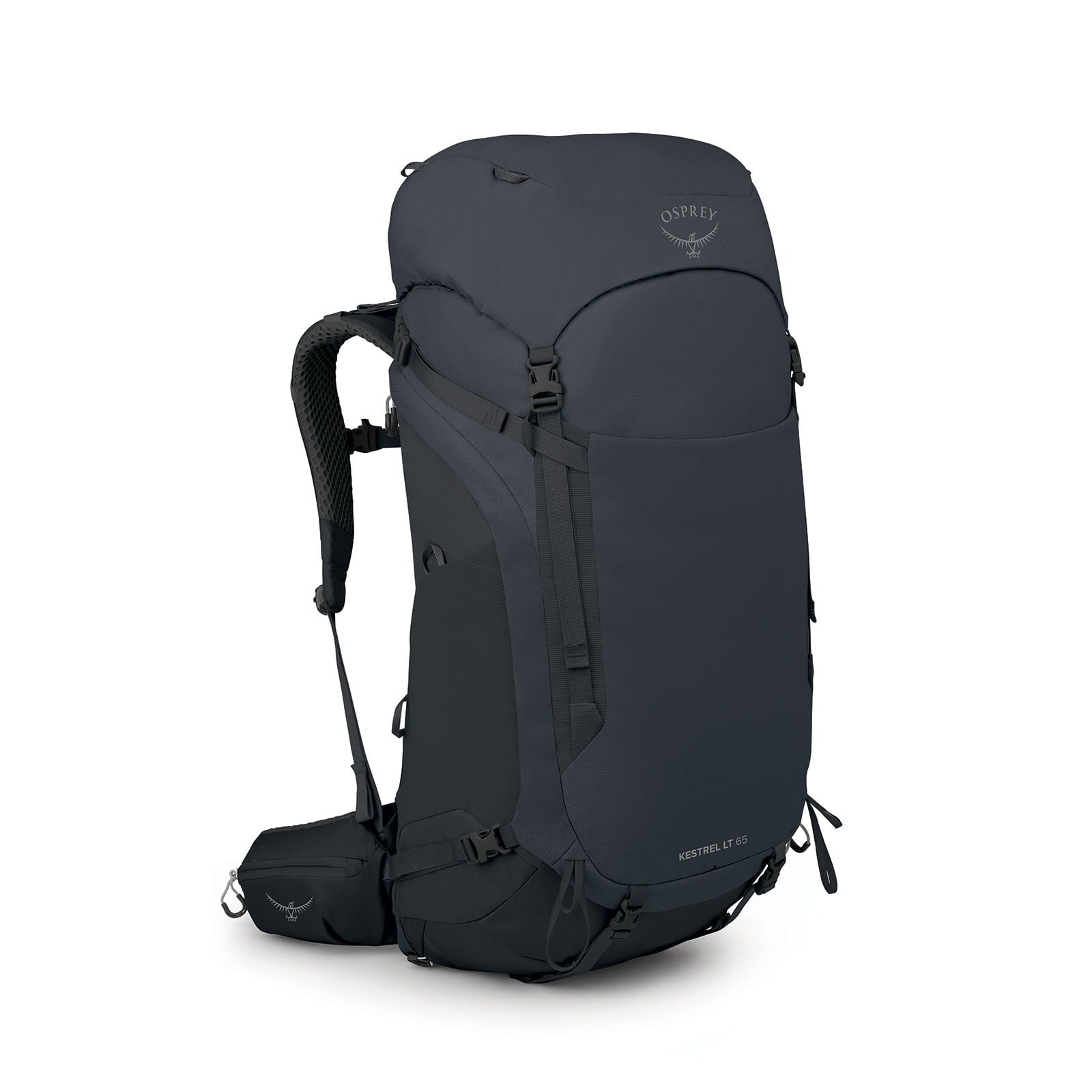 Osprey Kestrel LT 65 Backpacking Pack 65L in Black — angle view 2