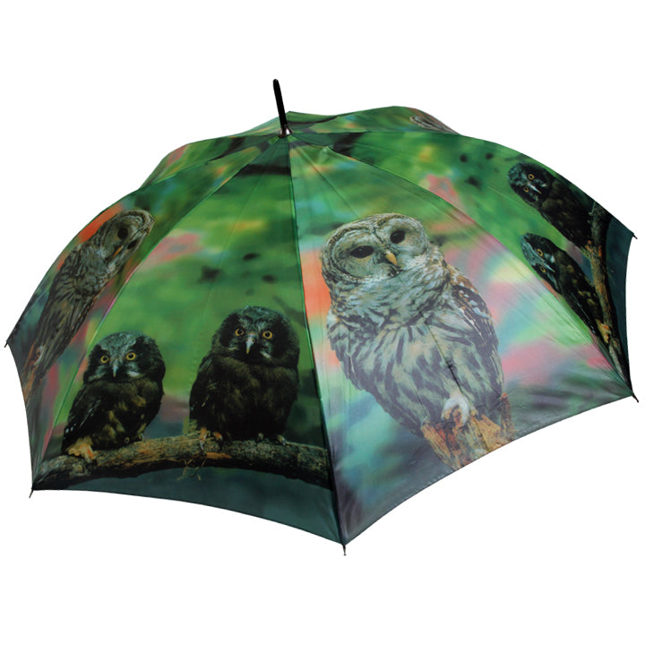 Vista 96014 Owl Umbrella in Green — front view