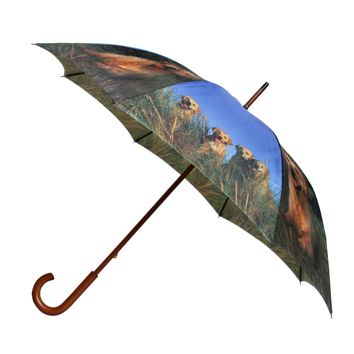 Vista 96020 Dog Umbrella in Blue — angle view 2