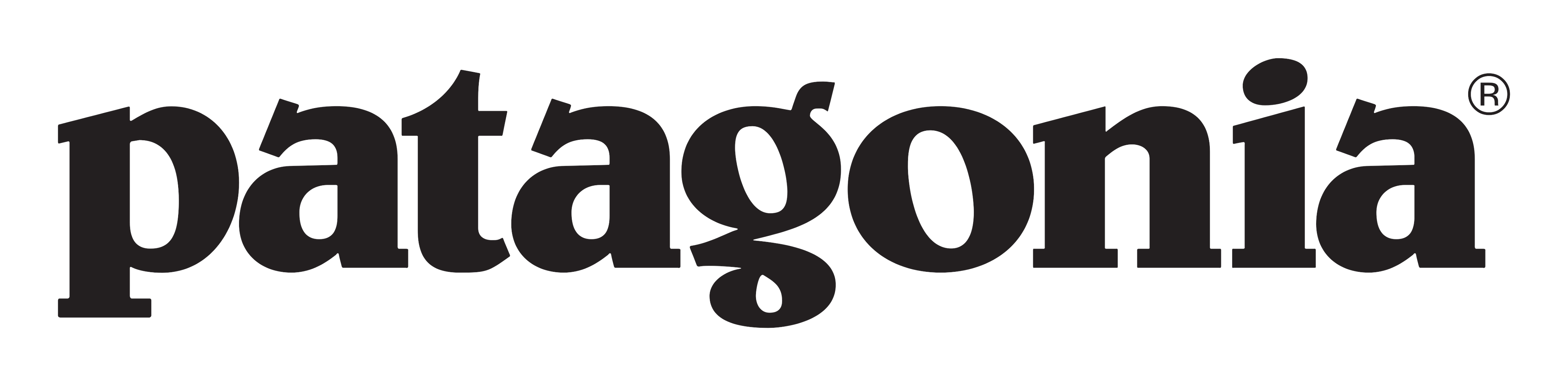 Patagonia logo