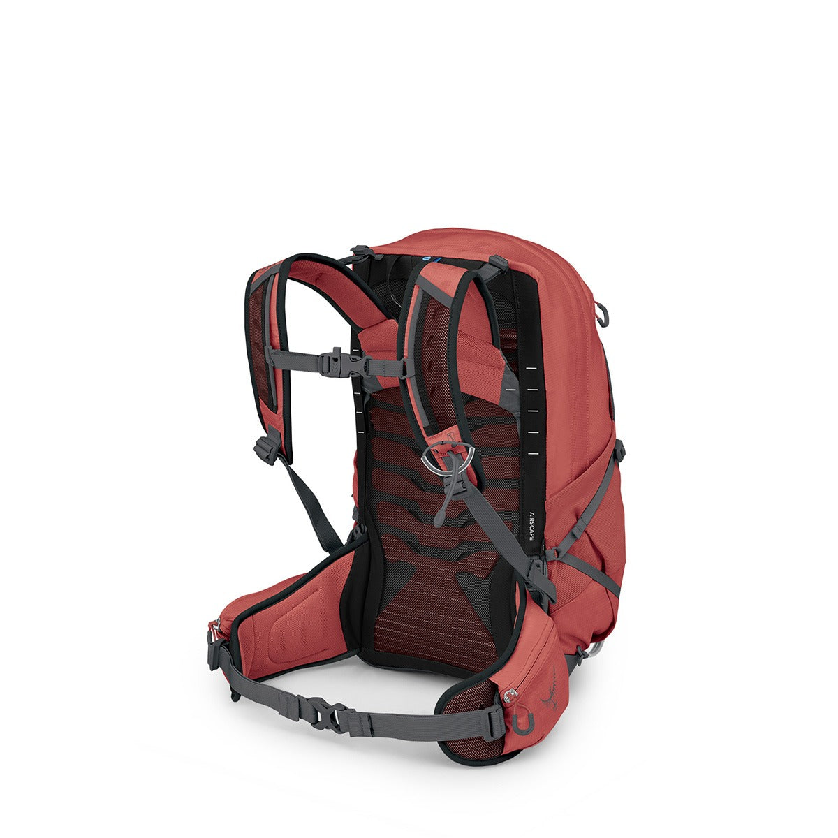 Osprey Tempest 22 Hiking Backpack 22L in Red Pampas/Coal Grey — angle view 3