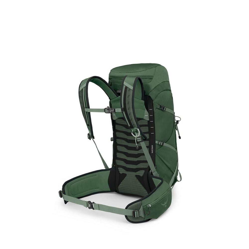 Osprey Talon 33 Extended Fit Hiking Backpack 33L in Green Canopy/Pine Leaf — angle view 3