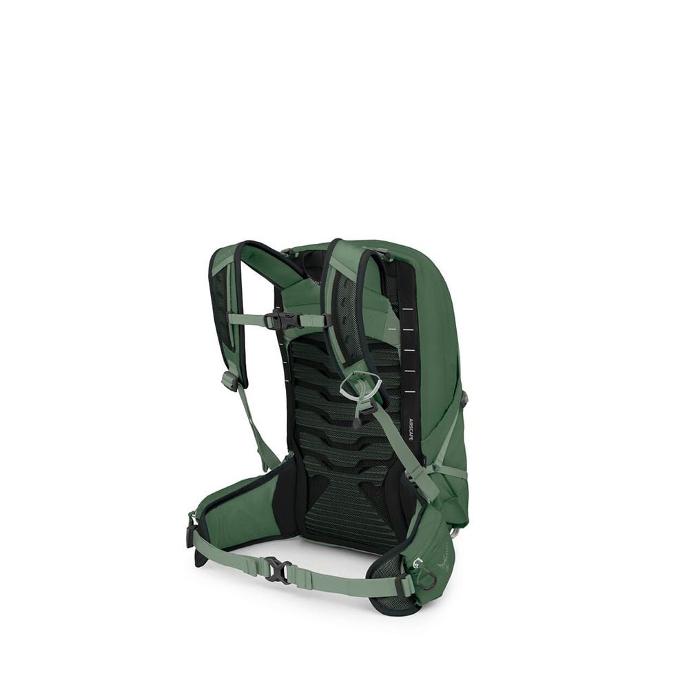 Osprey Talon 11 Hiking Backpack 11L in Green Canopy — back view